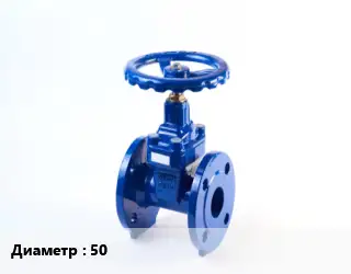 Задвижка стальная 50